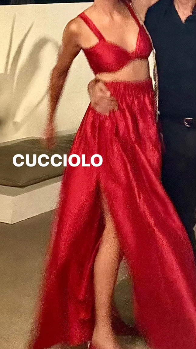 Cucciolo Skirt / Red - Image 8
